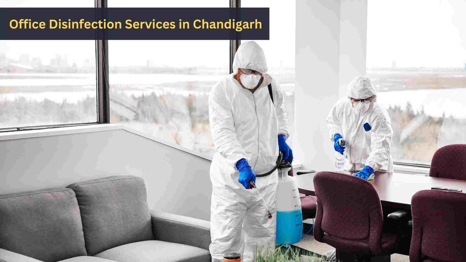 Office Disinfection Services in Chandigarh