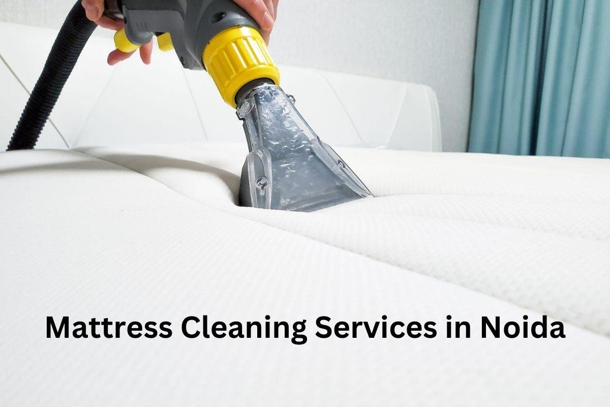 Mattress Cleaning Services in Noida