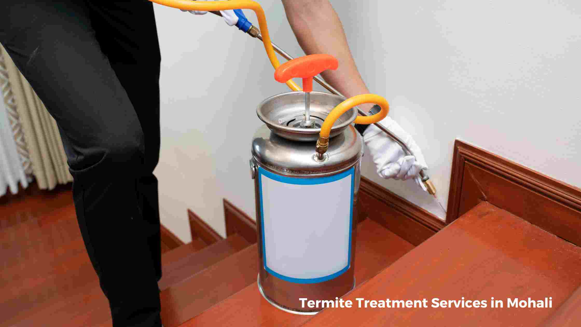 Termite Treatment Services in Mohali