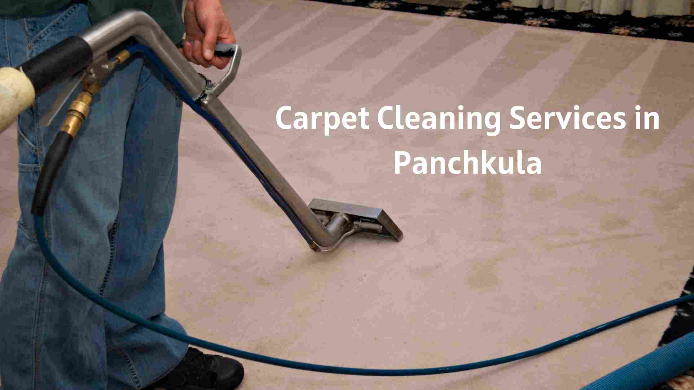 Carpet Cleaning Services in Panchkula