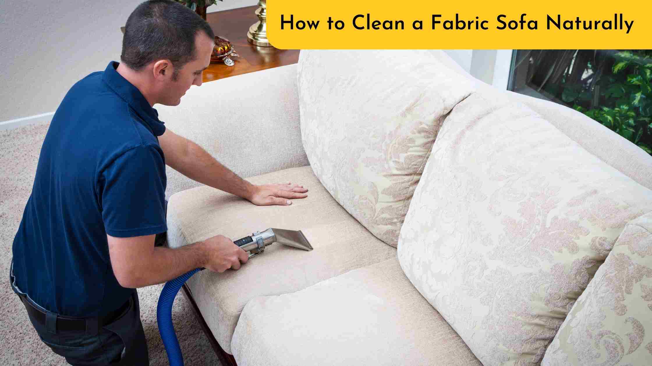 How to Clean a Fabric Sofa Naturally ? Busy Bucket Services