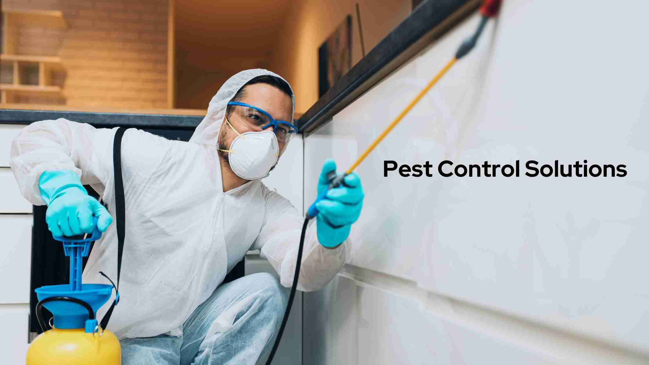 Pest Control Solutions