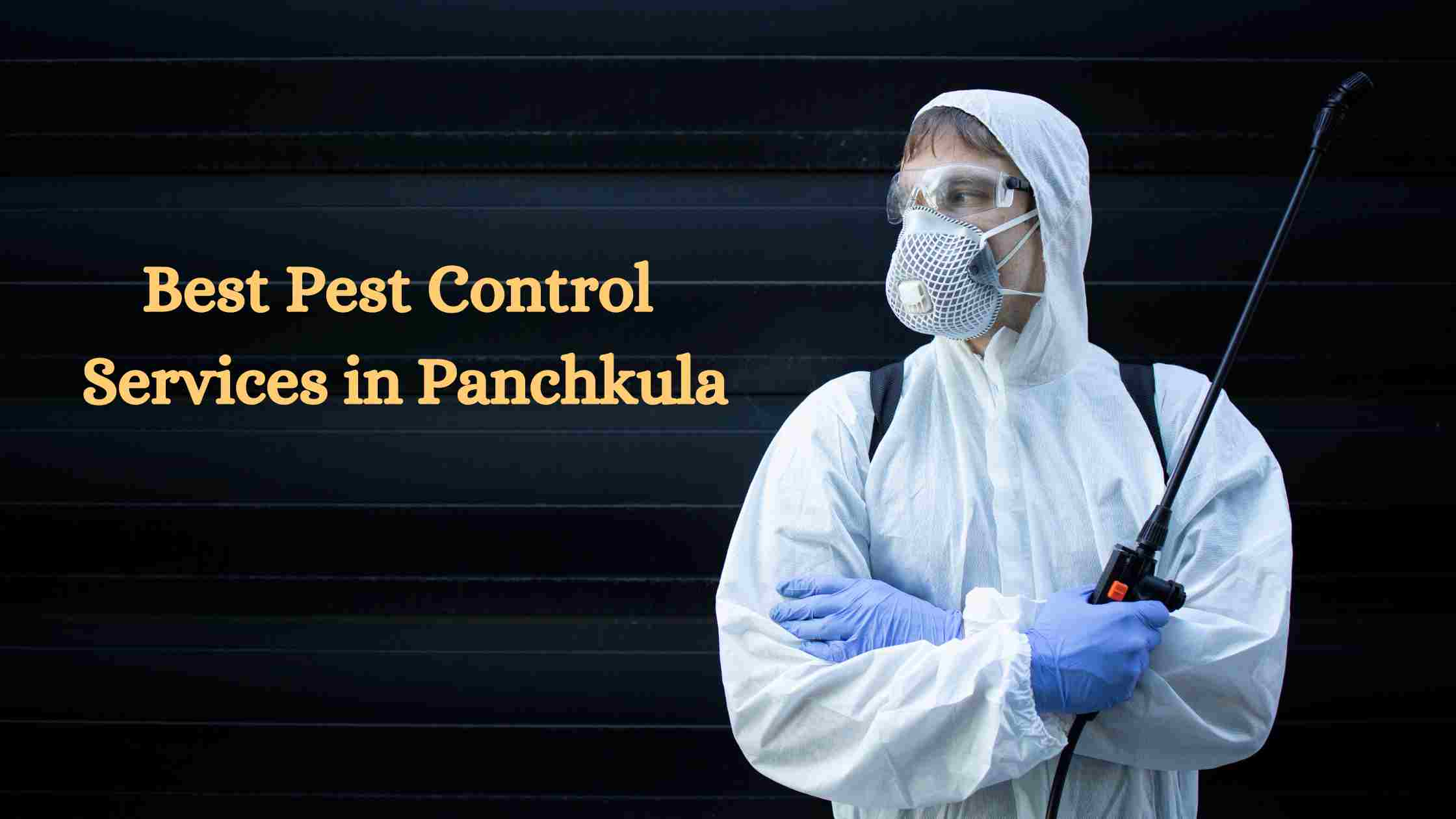 Pest Control Services in Panchkula