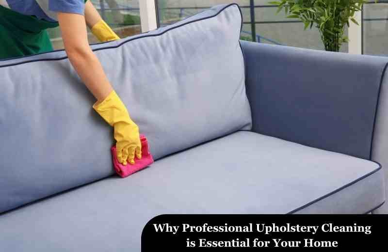 Professional Upholstery Cleaning