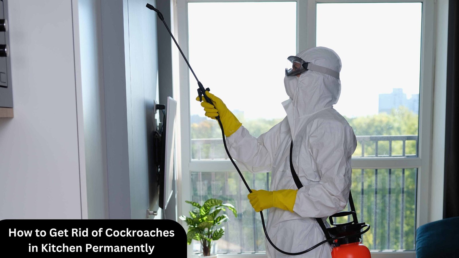 How to Get Rid of Cockroaches in Kitchen Permanently