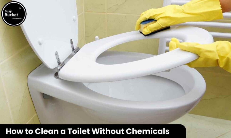 How to clean toilet without chemicals Busy Bucket Services