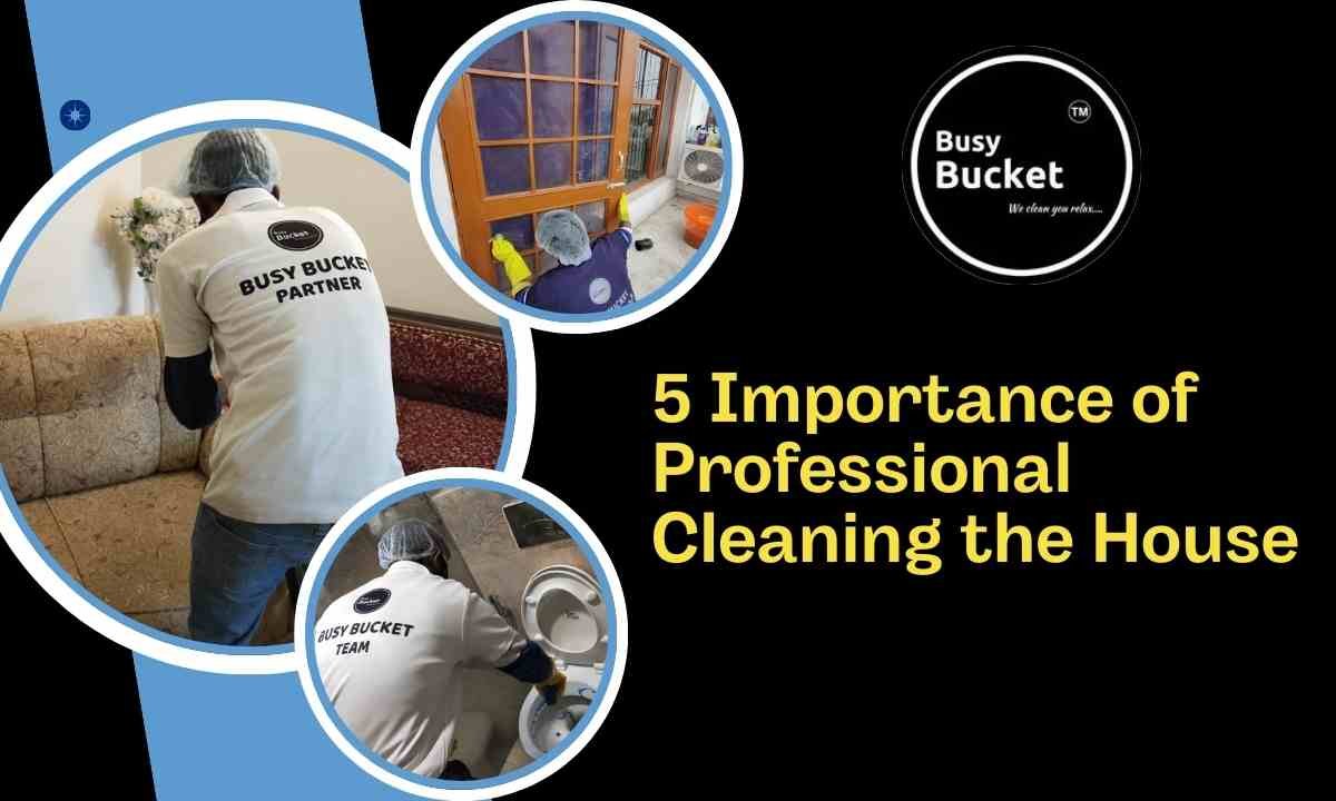 Importance of Professional Cleaning