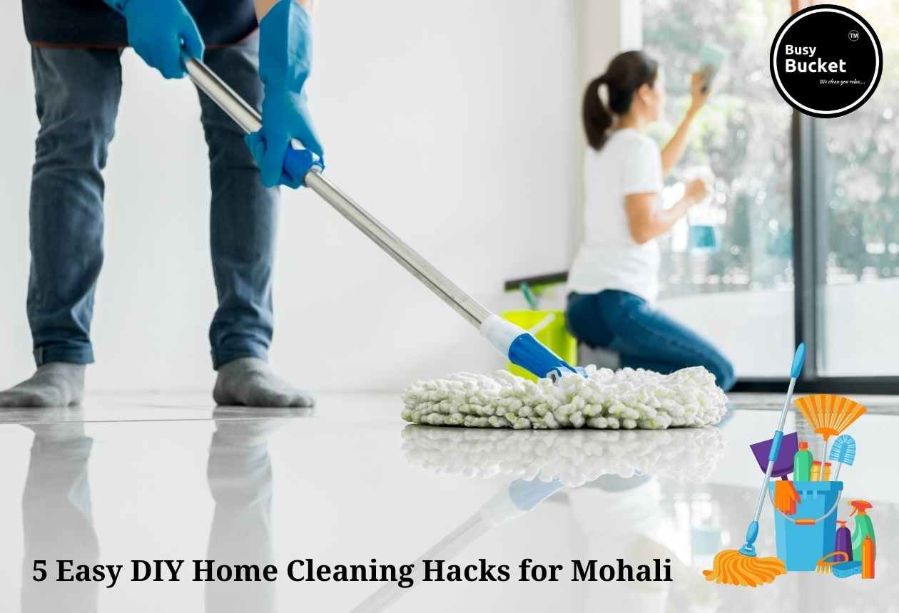 DIY Cleaning Tips Mohali