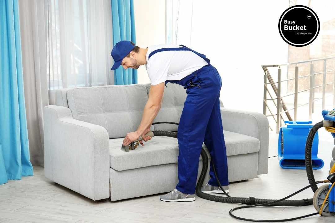 Professional Sofa Cleaning Services 