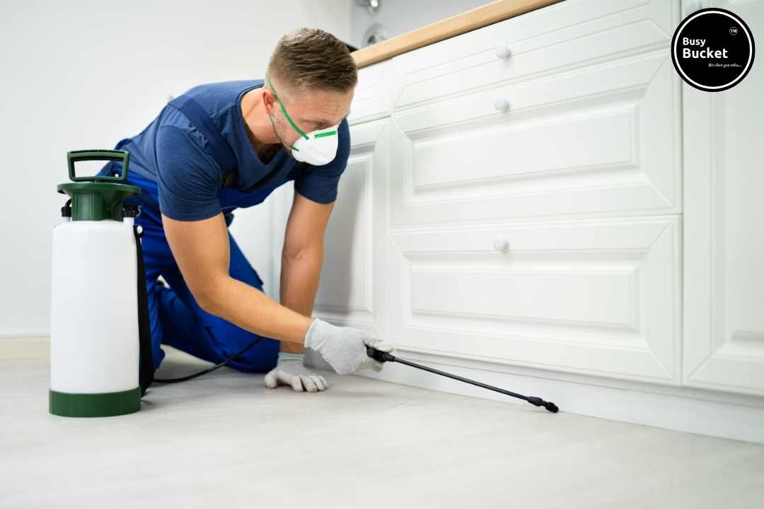 Monsoon Pest Control Tips