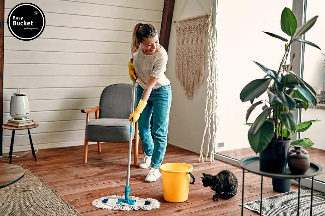 How Can We Keep Our House Clean