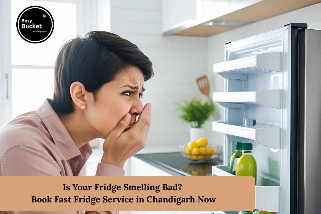 Fridge Service in Chandigarh