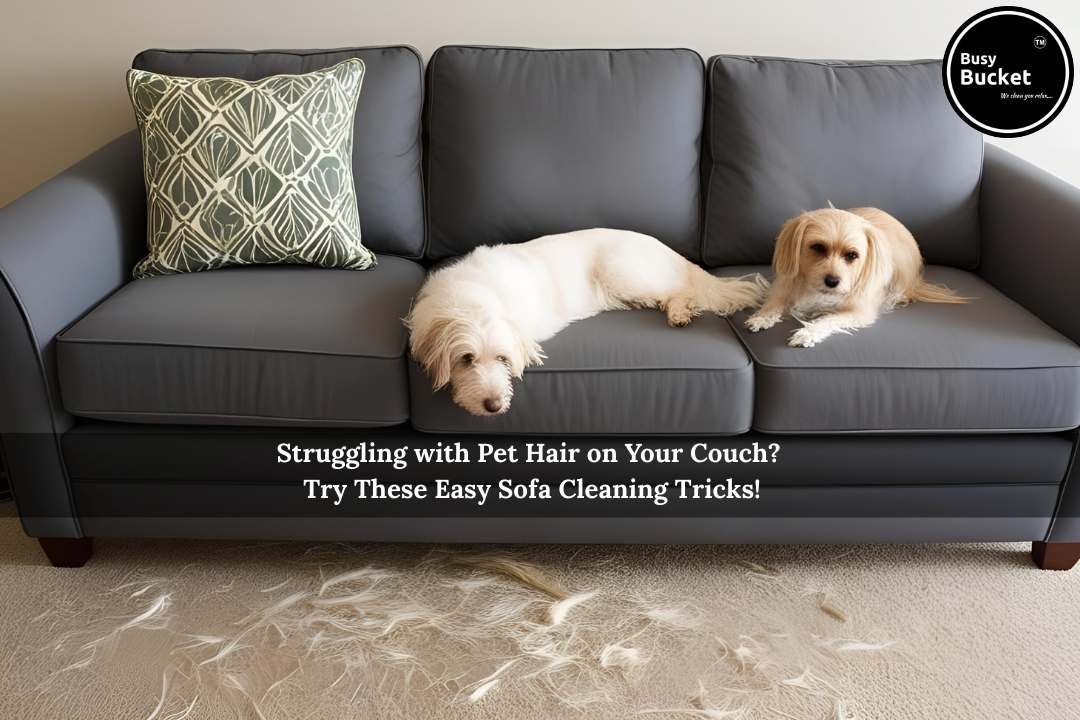 How to Remove Pet hair from Sofa