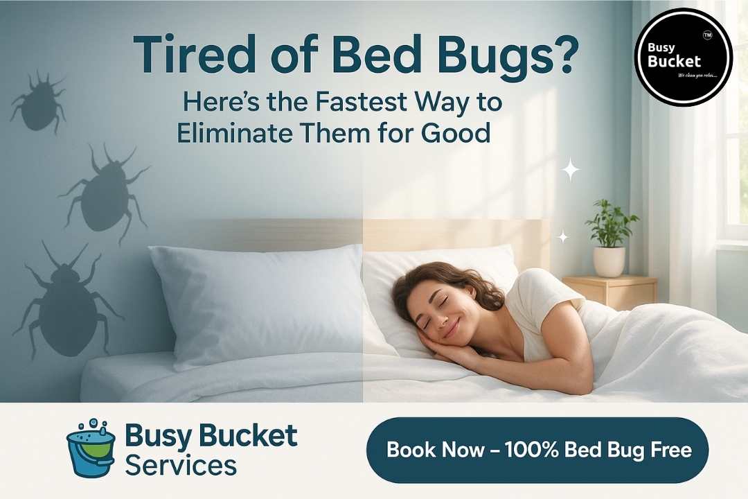 best way to get rid of bed bugs