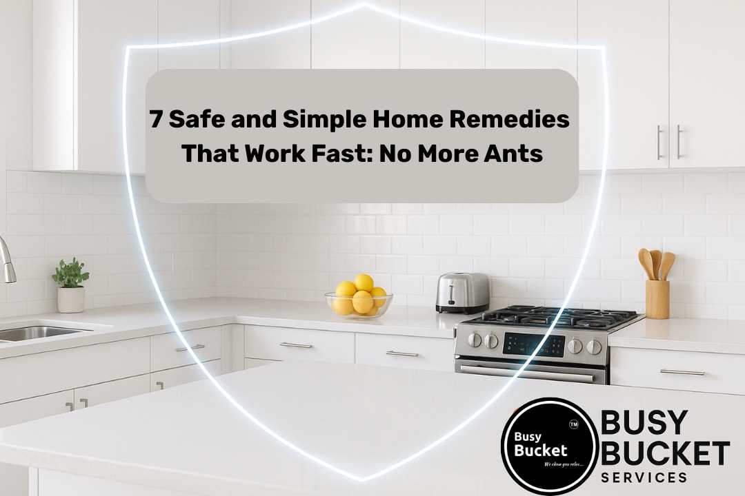 how to prevent ants at home