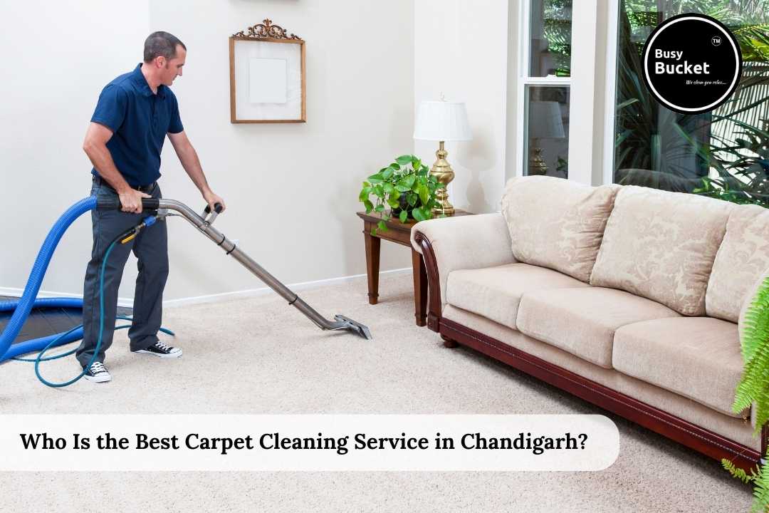 who is the best carpet cleaning service Chandigarh 
