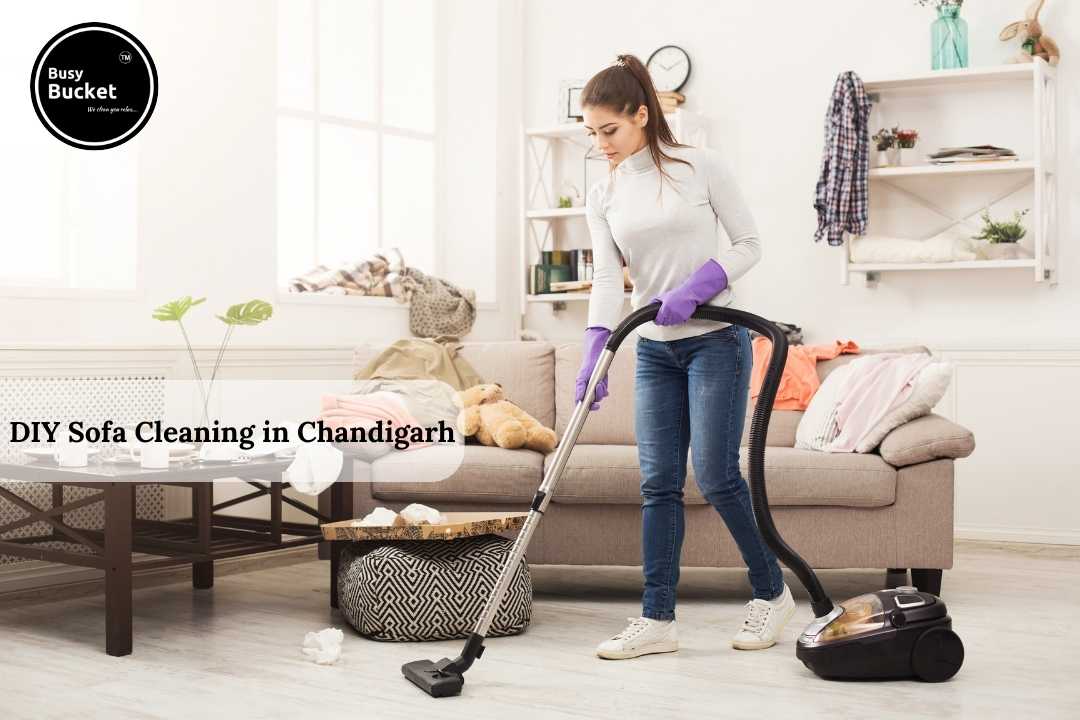 DIY Sofa Cleaning in Chandigarh