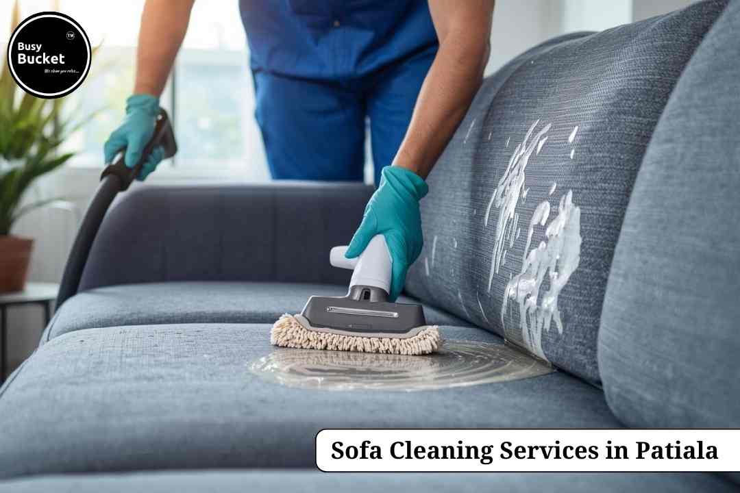 Sofa Cleaning Services in Patiala